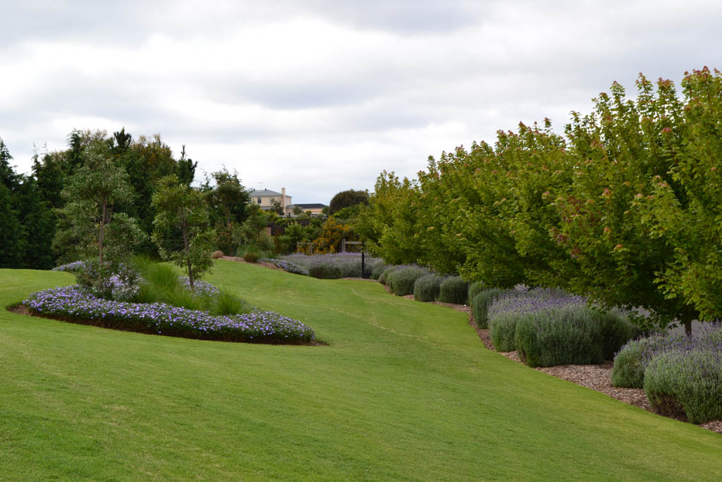 turf torquay