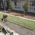 turf torquay