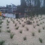 commercial landscaping torquay