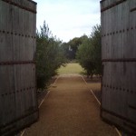 landscape design torquay