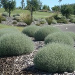 landscape design torquay