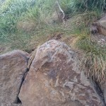 large rocks torquay