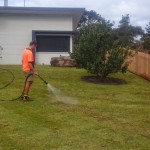 turf torquay